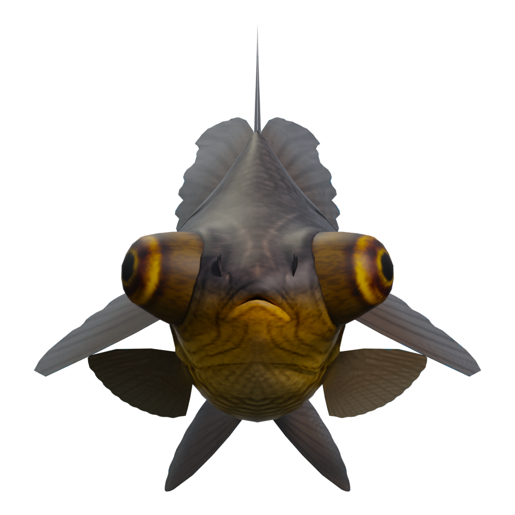 Right view of the Gold Fish 3D model