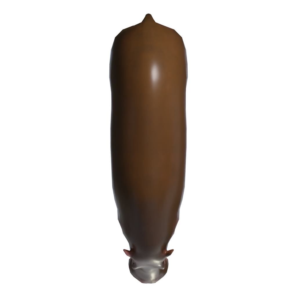 Top view of the Hippo Metalic Statue 3D model