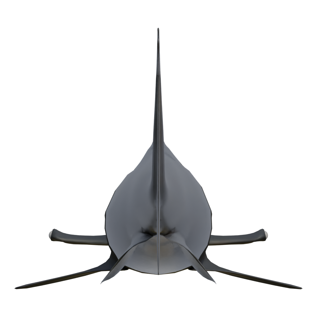 Back view of the Hammerhead 3D model