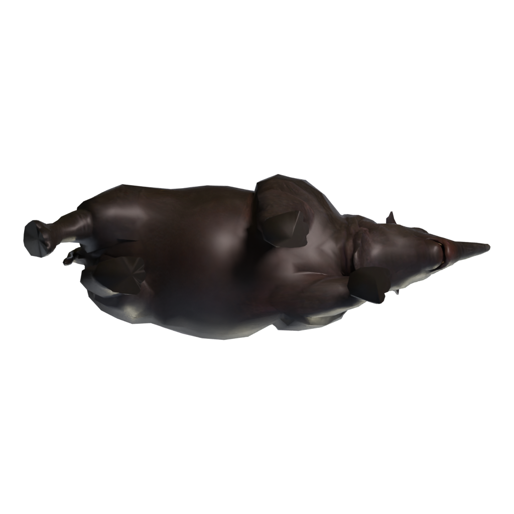Bottom view of the Rino 3D model