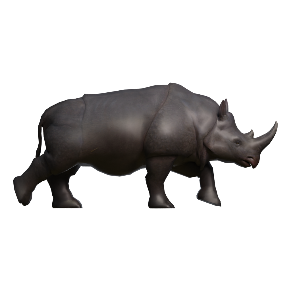 Front view of the Rino 3D model