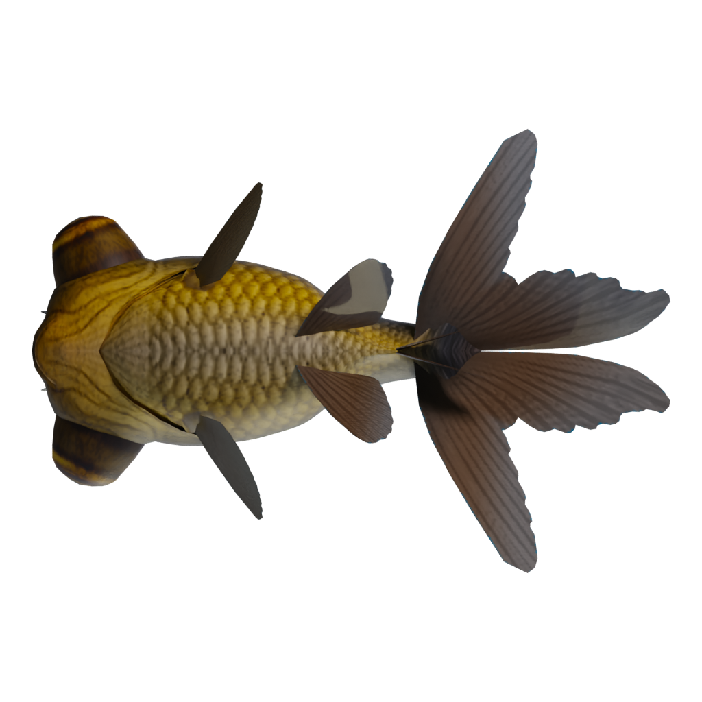 Bottom view of the Gold Fish 3D model