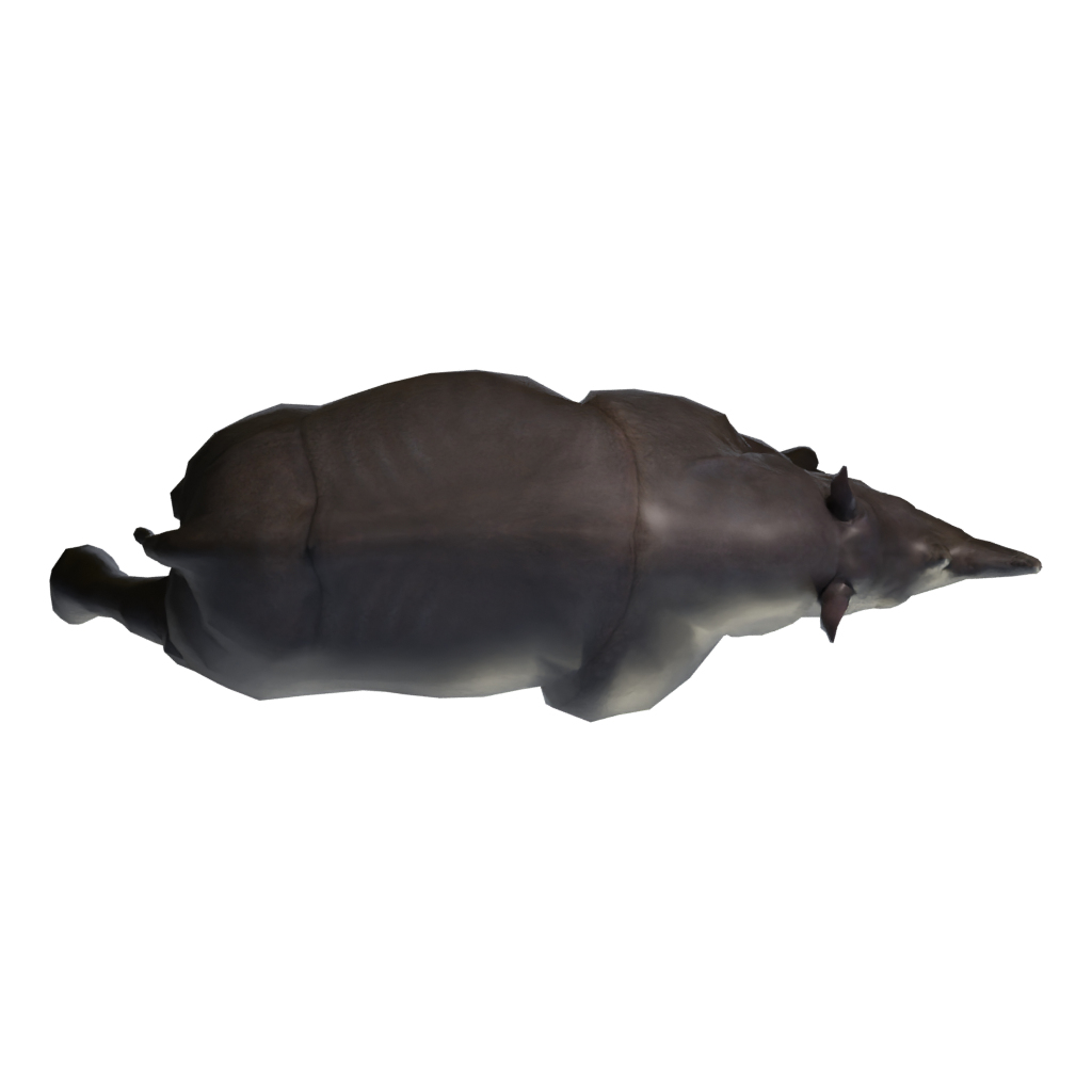 Top view of the Rino 3D model