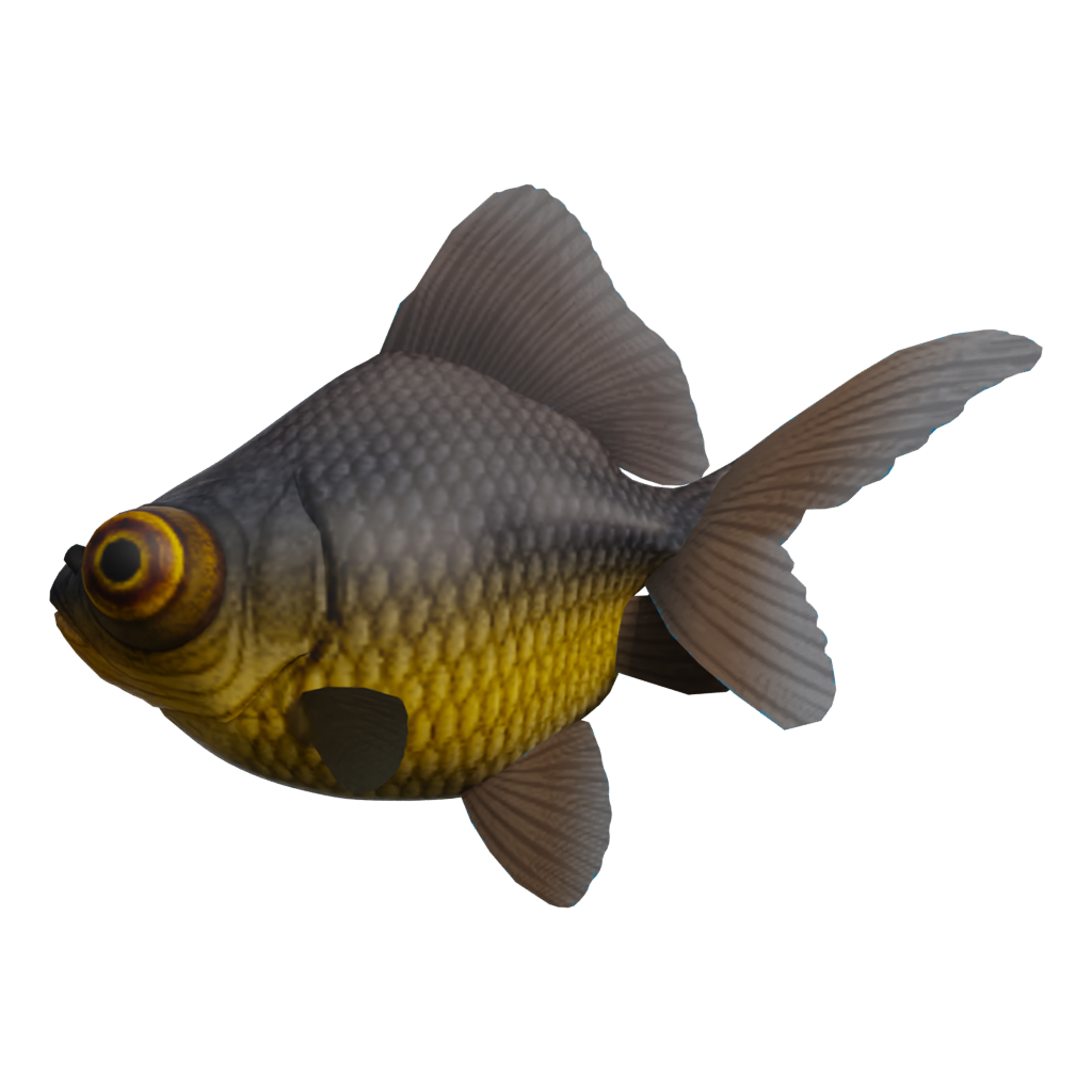 Front view of the Gold Fish 3D model