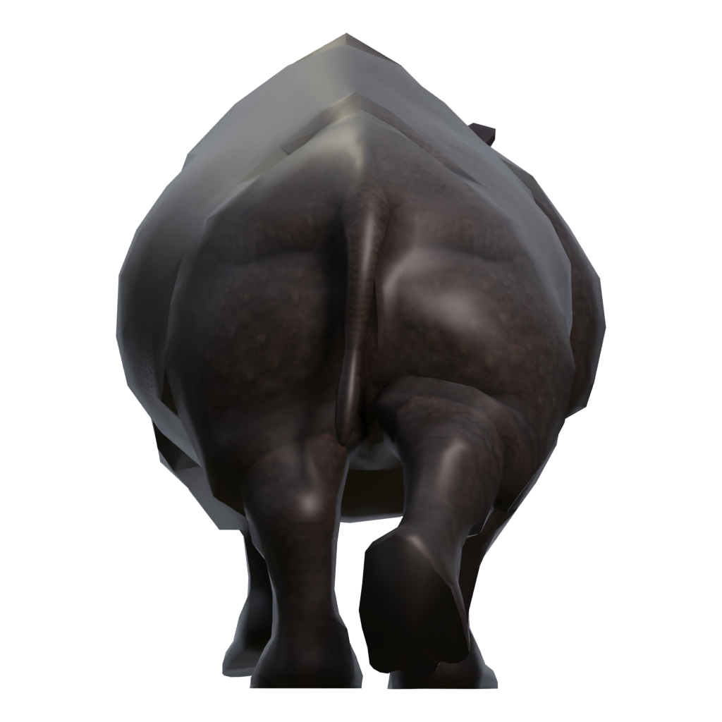 Right view of the Rino 3D model