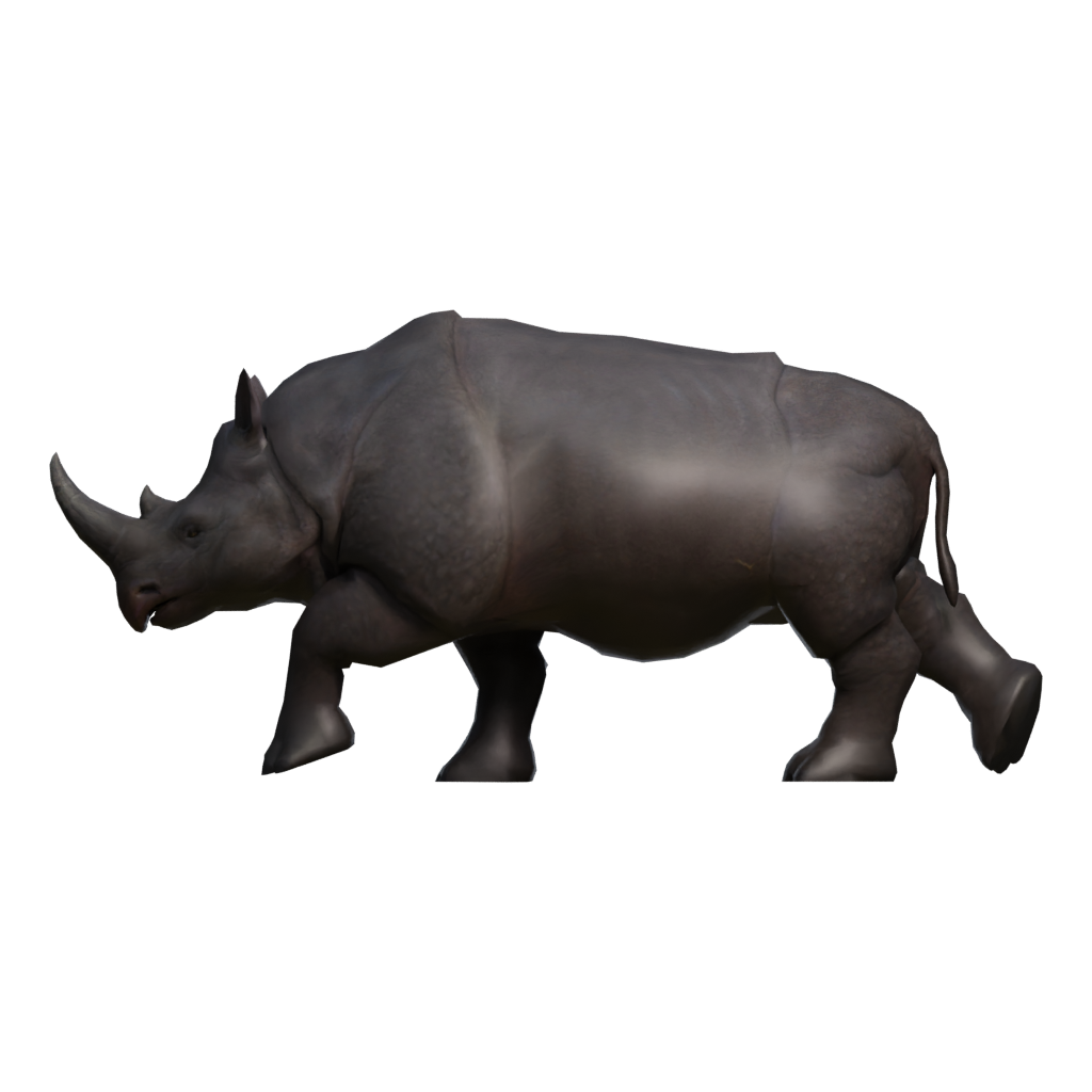 Back view of the Rino 3D model