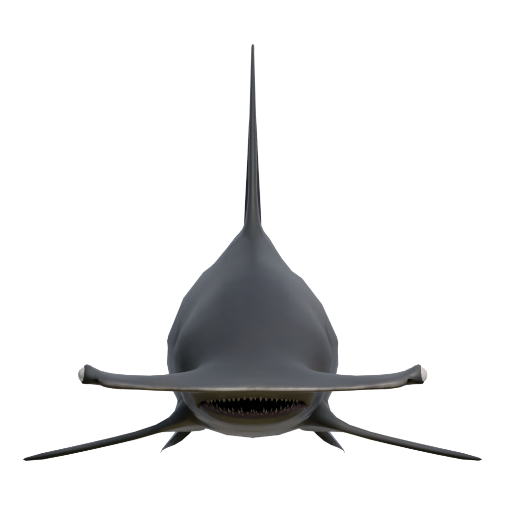 Front view of the Hammerhead 3D model