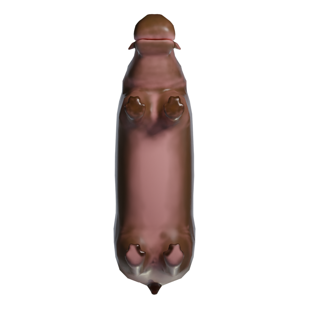 Bottom view of the Hippo Metalic Statue 3D model