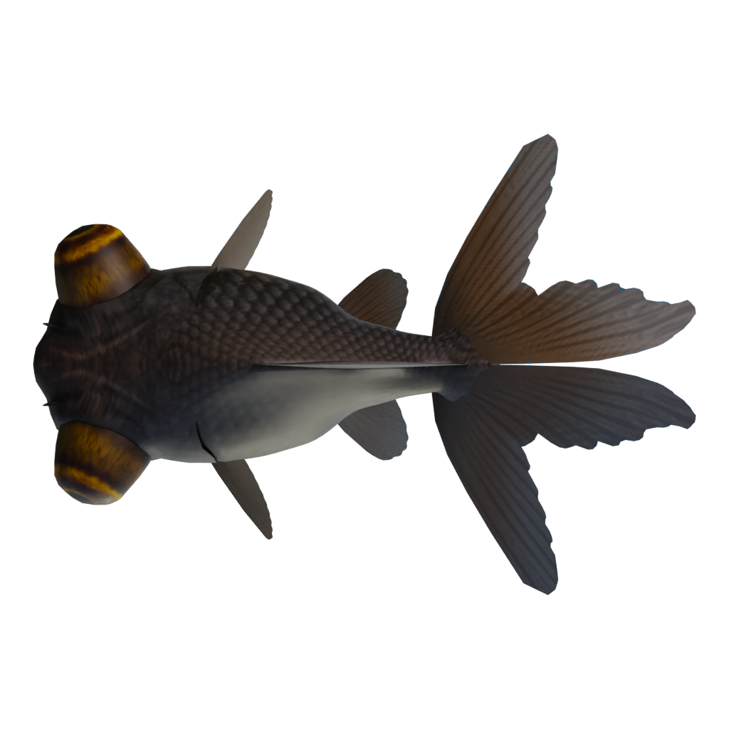 Top view of the Gold Fish 3D model